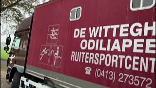 Venta de DAF FA CF65 4x2 Euro 5 Paardenwagen geschikt voor 5 / 6 paarden camión para caballos - Imagen 4 | Autoline ES DAF FA CF65 4x2 Euro 5 Paardenwagen geschikt voor 5 / 6 paarden camión para caballos | Imagen 4 - Autoline
