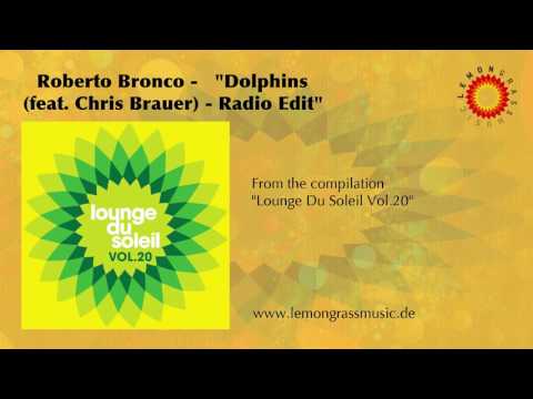 Roberto Bronco - Dolphins (feat. Chris Brauer) - Radio Edit (Official Audio)