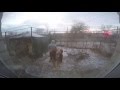 фараон : в мертвых найках (стец стайл) 