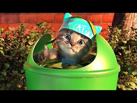 Lindo Gatito va al Colegio - Dibujos Animados en Español