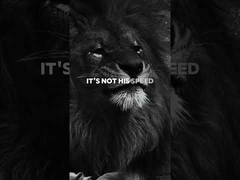 Lion mentality🦁#motivation #lion #quotes #advice #mentality