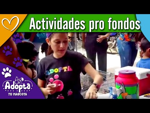 🐾 ❤️ Todo por amor a ellos, actividades pro fondos para los rescatados 🐾