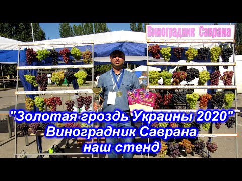 Золотая гроздь Украины 2020 - наш стенд