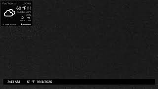 Maryland · Port Tobacco Eagle live stream