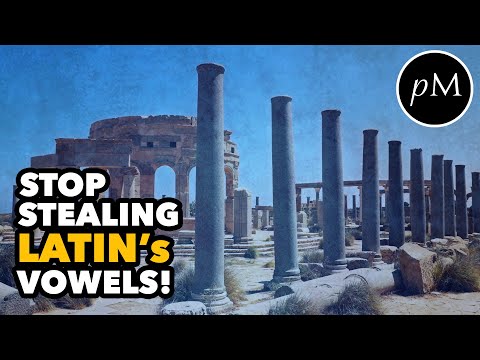 Stop Stealing Latin's Vowels! Why are long vowels so important in Latin?