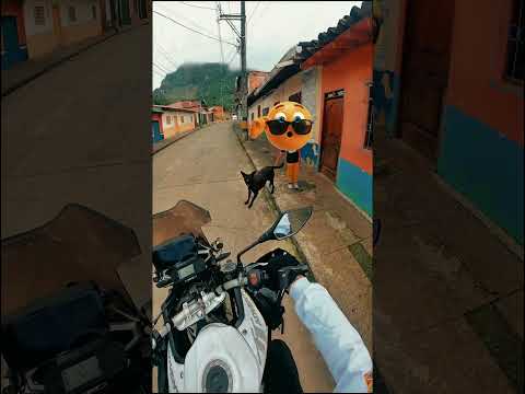 25 de febrero de 2026