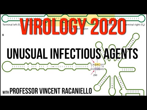 Virology Lectures 2020 #25: Unusual infectious agents