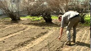 Craigslist ad encourages La Crosse woman to urban garden