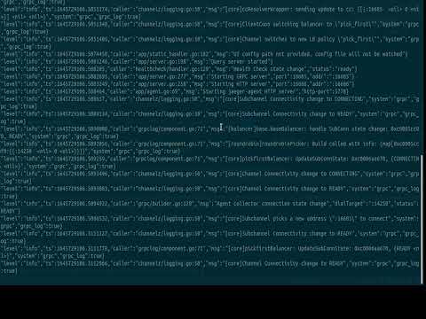 Running the Example Demo