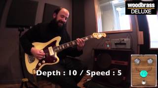 Video thumbnail for TEST ANASOUNDS WOODBRASS DELUXE : la "PHASE LAG PHASER" by Woodbrass