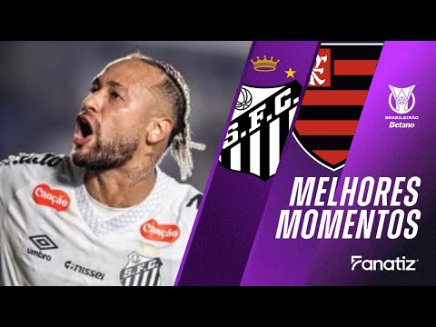 Santos 1 x 0 Flamengo I Highlights I Brasileirão 2025