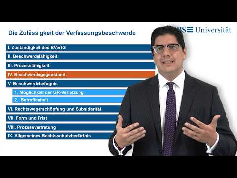 Prüfung einer Verfassungsbeschwerde (Vorlesung: Grundrechte und Verfassungsprozessrecht / Towfigh)