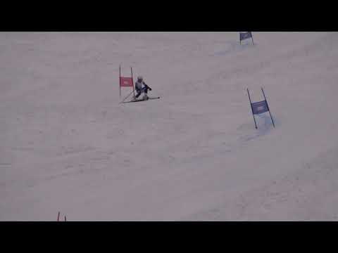 2020.02.05 Mavrovo GS2 Asvestas Dimitris