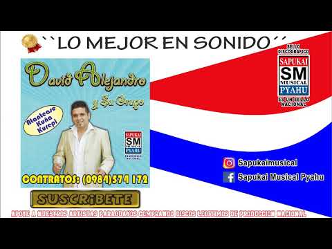 Por culpa de una esquelita - David Alejandro y su grupo