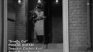 Smelly Cat Video album! Phoebe Buffay! Friends