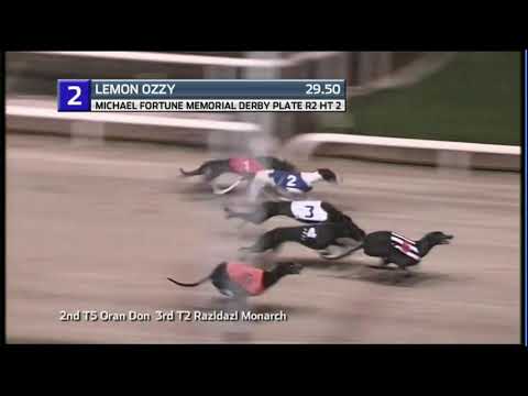 2020 IRISH DERBY PLATE - R2 HEAT 2 - T2 LEMON OZZY