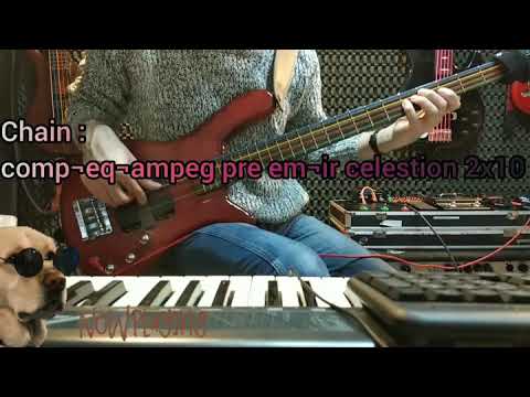 Bass IR's Celestion Pulse 2x10— A Great Bass Tone (short demo)