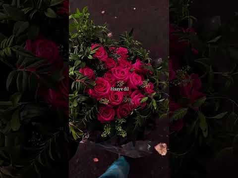 Share your Love ❤️#shorts