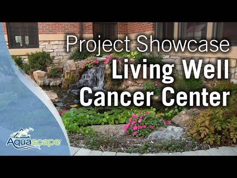 Aquascape Project Showcase - Living Well Cancer Center