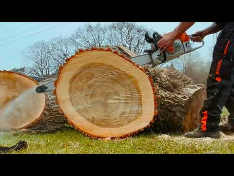 Stihl MS 881 120er Schiene