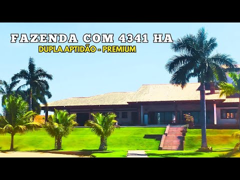 FAZENDA GIGANTE com 4341 HA com Mansão, Represas , Pecuária e Agricultura de Alta Produtividade