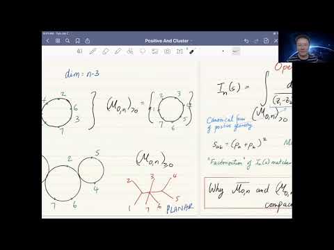 Zoomplitudes 2020: Thomas Lam (University of Michigan)