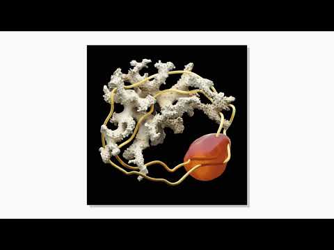 LESKY - Apricot (feat. Phlocalyst & Sátyr)