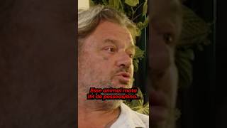 O ANIMAL mais PERIGOSO...