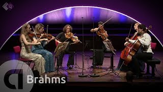 Brahms: String Sextet No 2 Op 36 - Harriet Krijgh 
