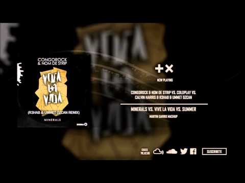Minerals vs. Viva La Vida vs. Summer (Martin Garrix Mashup)