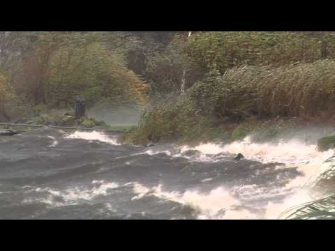 Veendijken hoogheemraadschap van Rijnland