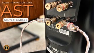 Advanced Silver Technology 6N+ AST Silver Cables, A Game Changing Experience!
