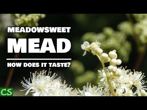 Meadowsweet Mead Tasting - Something Surprising Happened!