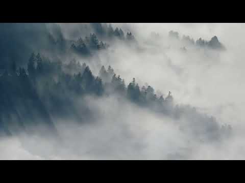 Clouds and Forest Live Wallpaper 60FPS 1 Hours Of Relaxing Long Video - No Sound