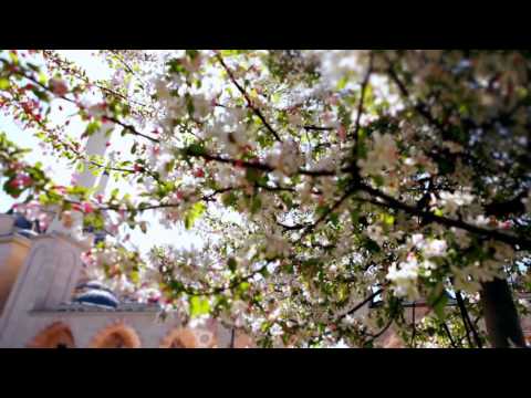 ® HOR ISA-BEG // ISPRUŽENIH RUKU TRAŽIM (Official 2014) ©