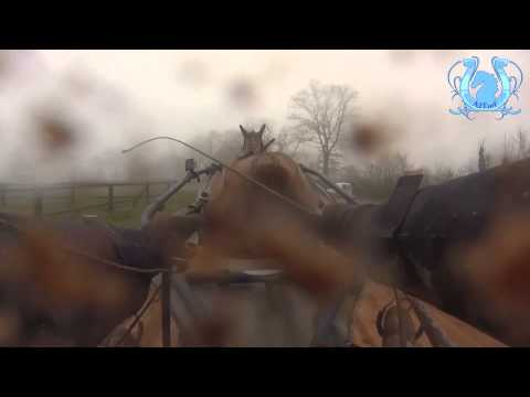 ZAPPING JANVIER 2014 (2/2) - A2TURF.COM