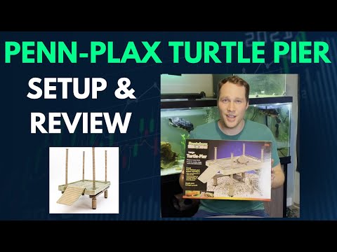 WORTH IT? - Penn-Plax Reptology Floating Turtle Pier and Basking Platform - SETUP AND REVIEW