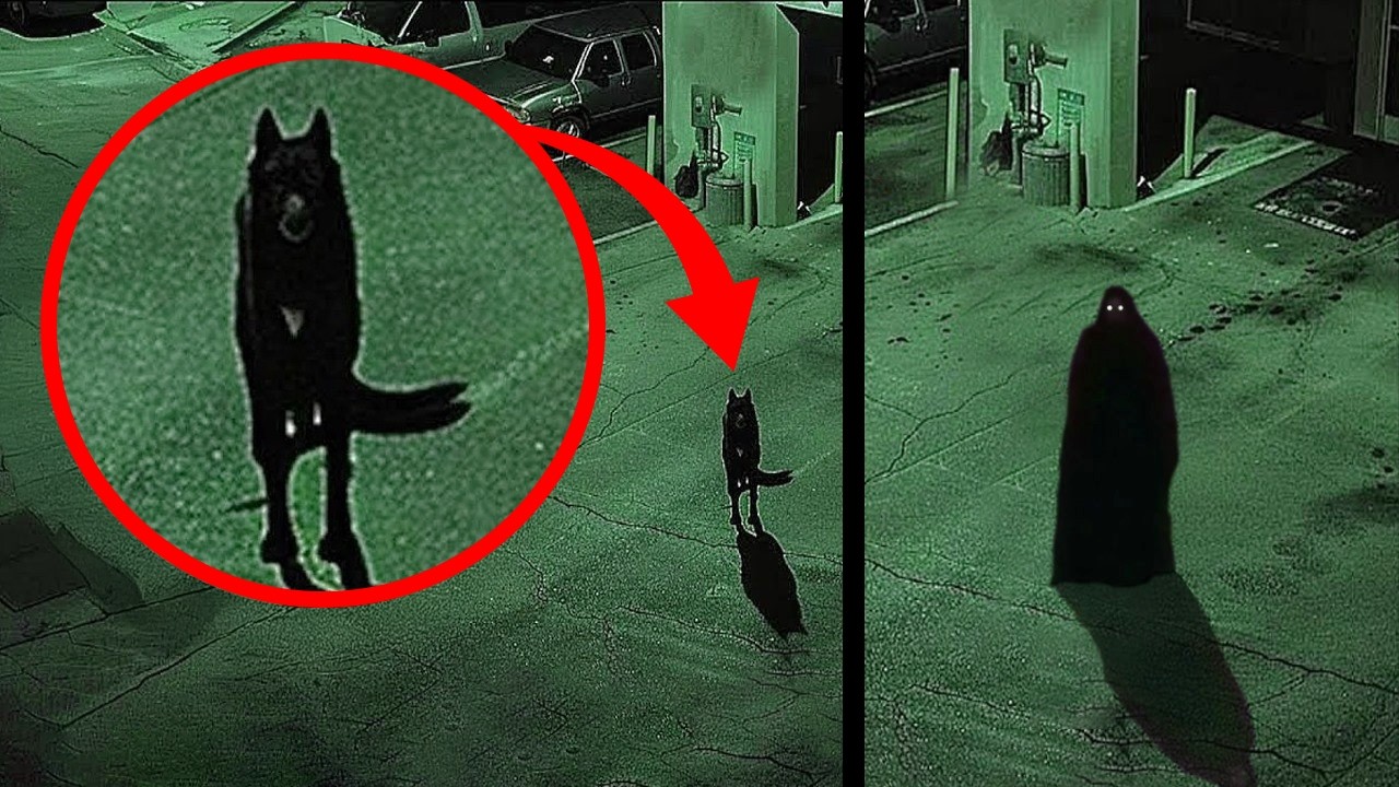 30 Scary Videos That Had Me Trembling For Days