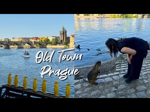 Old Town Prague To Kampa Island!