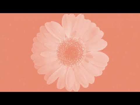Video thumbnail for Better Times
