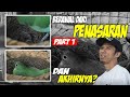 SUKSES TERNAK CUCAK IJO Ll PROSES AWAL DAN CARANYA BAGAIMANA PART 1