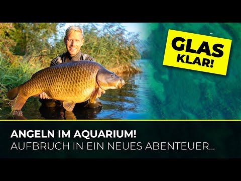 33 KG Karpfen zum Sessionstart! Neues Reiseabenteuer mit Mark Hofman: Keep Searching #3 – Episode 2