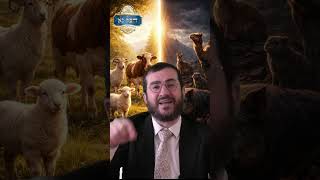 שמיני - סימני הכשרות של בעלי החיים, הוכחה לתורה מן השמים | זואולוג והרב יודלביץ' | רבי דוד בכר
