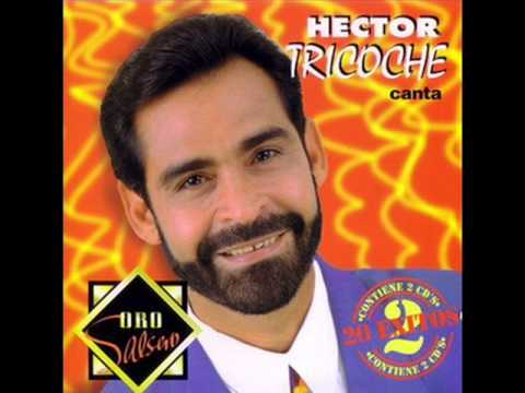 Hector Tricoche  Periquito Pin Pin