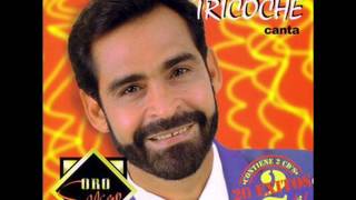 Hector Tricoche  Periquito Pin Pin