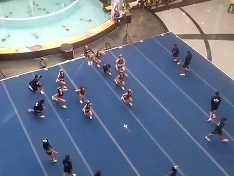 COMPETENCIA DE CALIMA 2014 (WILD HAWK)