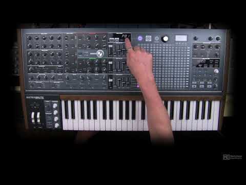MatrixBrute 101: Absolute Beginner's Guide - 14. The Matrix