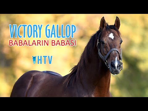 VICTORY GALLOP Babaların Babası
