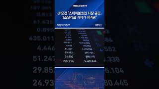 JP모건 "스테이블코인 시장 규모, 1조달러로 커지기 어려워"