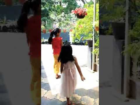 our beautiful garden